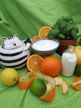 Load image into Gallery viewer, Citrus Basil Lotion with Aloe