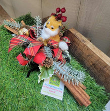 Load image into Gallery viewer, Fox Cinnamon Bundle
