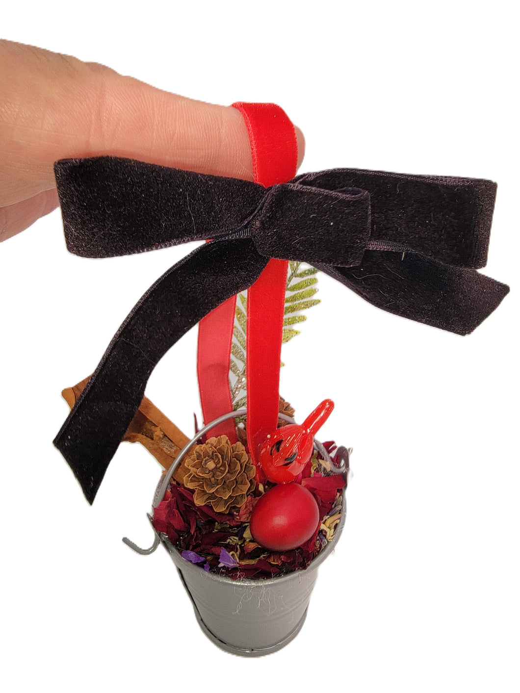 Red Bird in Tiny Bucket