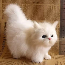Load image into Gallery viewer, Fuzzy Kitty
