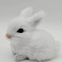 Load image into Gallery viewer, Fuzzy Bunny
