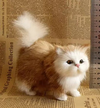 Load image into Gallery viewer, Fuzzy Kitty
