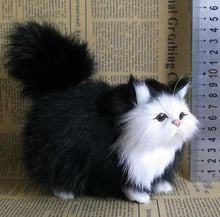 Load image into Gallery viewer, Fuzzy Kitty
