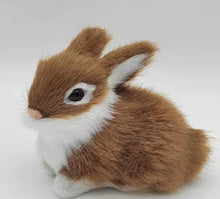 Load image into Gallery viewer, Fuzzy Bunny
