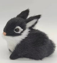 Load image into Gallery viewer, Fuzzy Bunny
