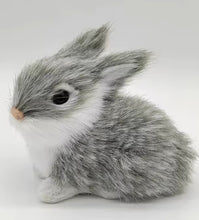 Load image into Gallery viewer, Fuzzy Bunny
