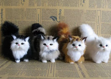 Load image into Gallery viewer, Fuzzy Kitty
