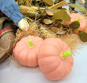 Pumpkin Spice Pumpkin Soap