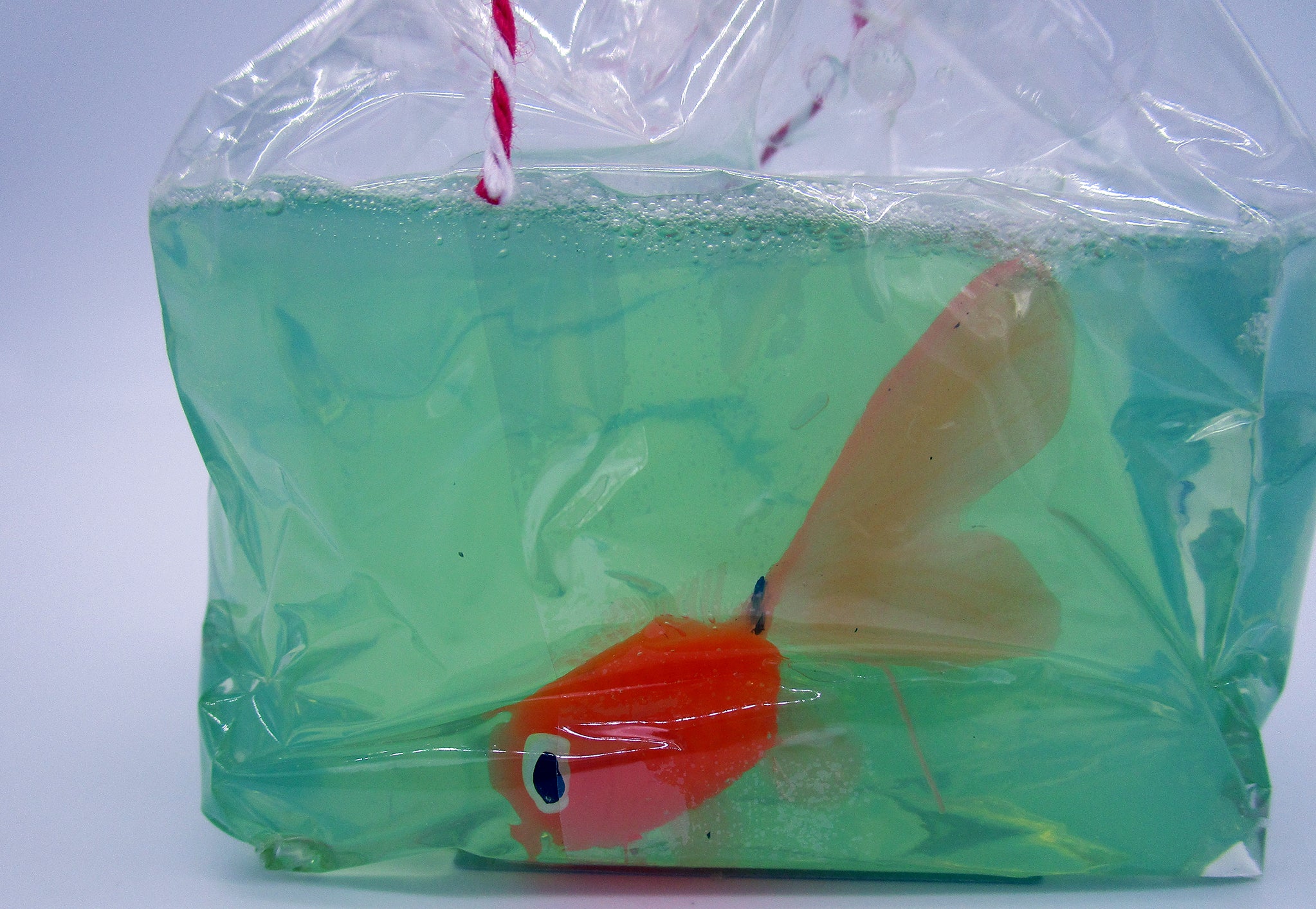 Fish in a Bag Glycerin Soap